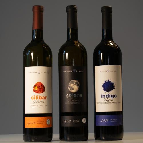 Feel like home at Plavinci organic winery Belgrade. Natural wine tasting with home-made snacks and great views