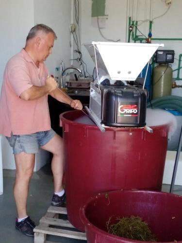 Feel like home at Plavinci organic winery Belgrade. Natural wine tasting with home-made snacks and great views