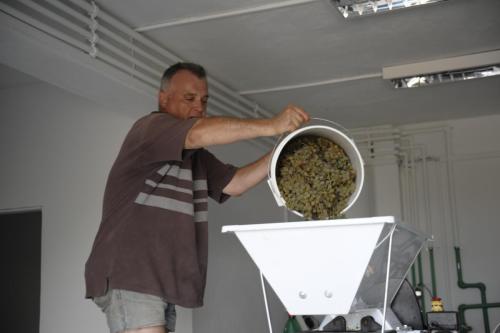 Feel like home at Plavinci organic winery Belgrade. Natural wine tasting with home-made snacks and great views