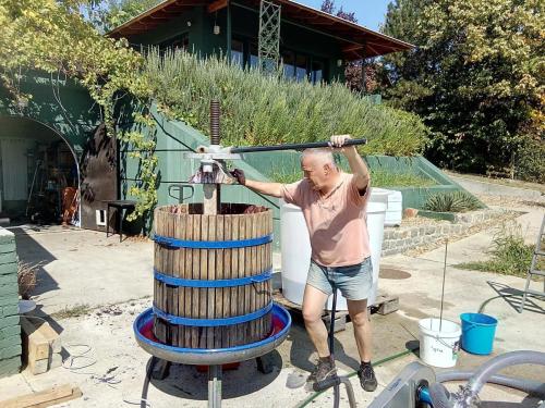 Feel like home at Plavinci organic winery Belgrade. Natural wine tasting with home-made snacks and great views