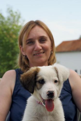 Feel like home at Plavinci organic winery Belgrade. Natural wine tasting with home-made snacks and great views