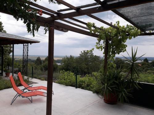 Feel like home at Plavinci organic winery Belgrade. Natural wine tasting with home-made snacks and great views