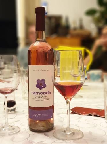 Feel like home at Plavinci organic winery Belgrade. Natural wine tasting with home-made snacks and great views