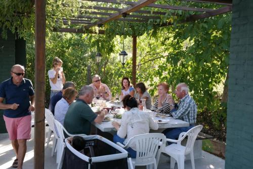Feel like home at Plavinci organic winery Belgrade. Natural wine tasting with home-made snacks and great views