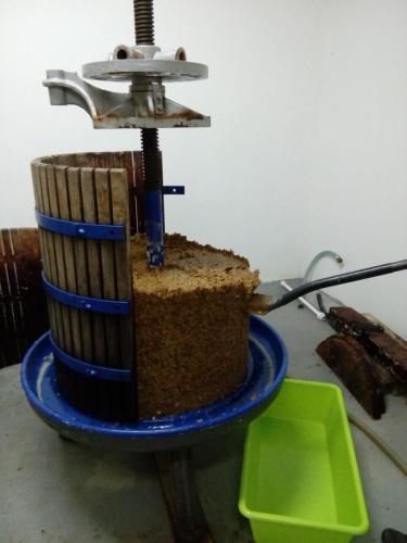 Feel like home at Plavinci organic winery Belgrade. Natural wine tasting with home-made snacks and great views