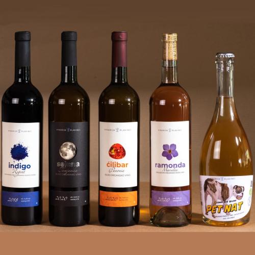 Feel like home at Plavinci organic winery Belgrade. Natural wine tasting with home-made snacks and great views