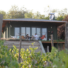 Feel like home at Plavinci organic winery Belgrade. Natural wine tasting with home-made snacks and great views