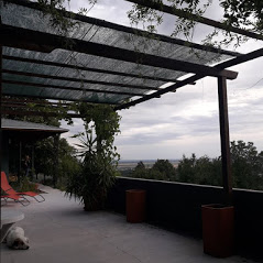 Feel like home at Plavinci organic winery Belgrade. Natural wine tasting with home-made snacks and great views