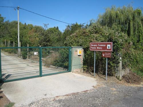 Feel like home at Plavinci organic winery Belgrade. Natural wine tasting with home-made snacks and great views