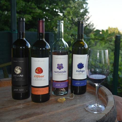 Feel like home at Plavinci organic winery Belgrade. Natural wine tasting with home-made snacks and great views