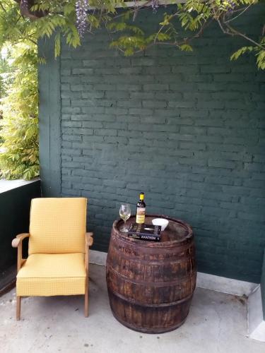 Feel like home at Plavinci organic winery Belgrade. Natural wine tasting with home-made snacks and great views