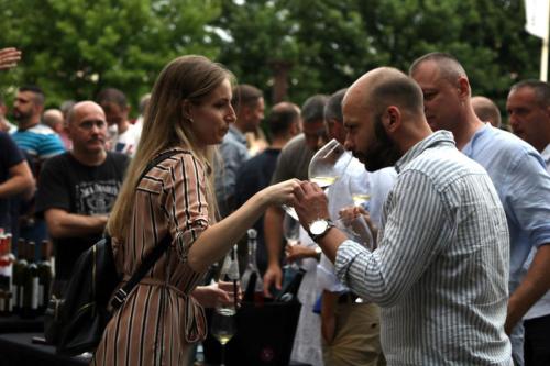 Feel like home at Plavinci organic winery Belgrade. Natural wine tasting with home-made snacks and great views
